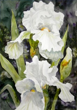acuarela de flor blanca Pinturas al óleo